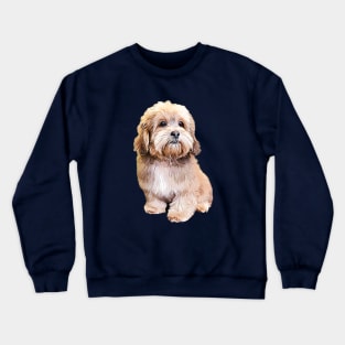 Shihpoo Shipoo Doodle Poodle Cutie Pie! Crewneck Sweatshirt